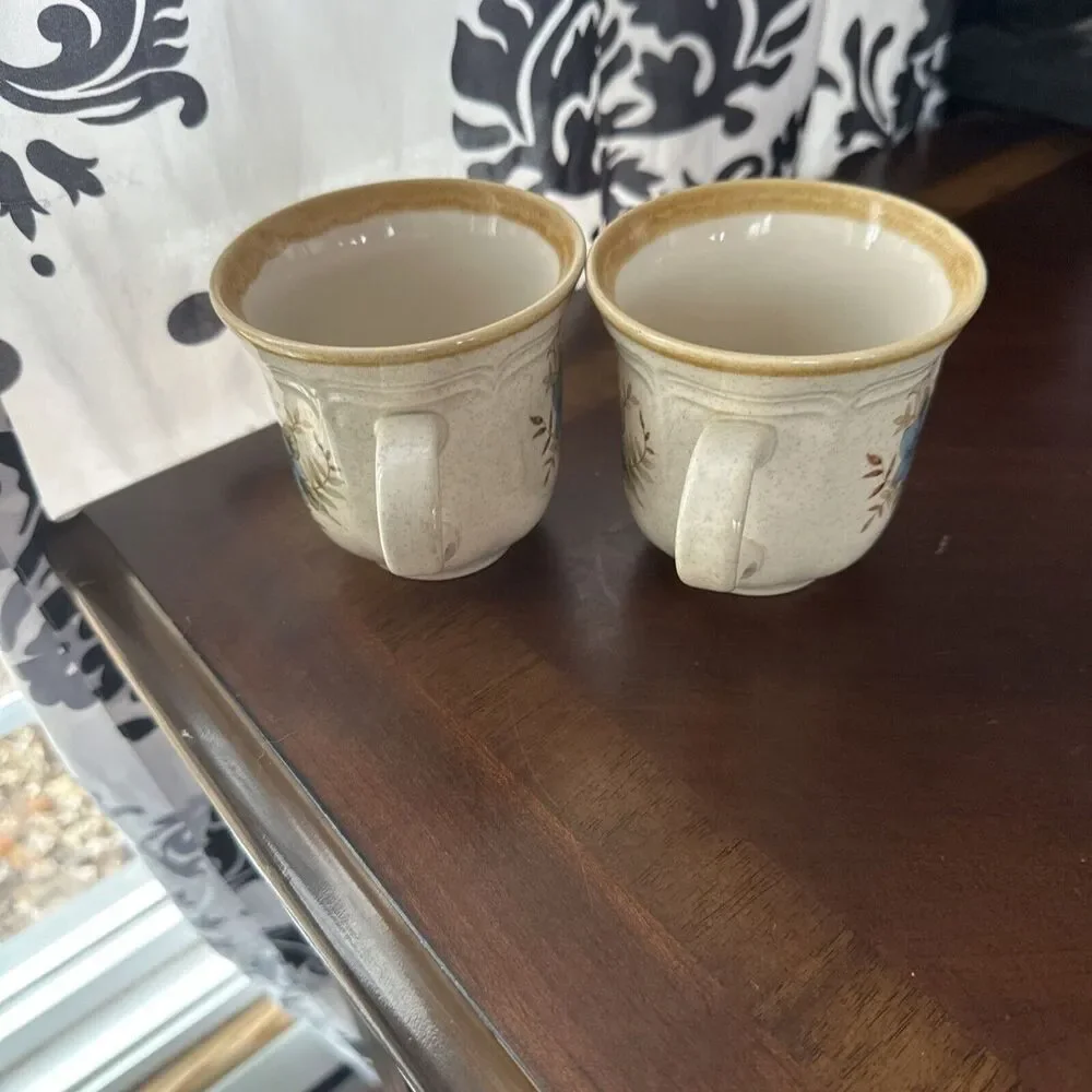 Mikasa Garden Club Day Dreams Bouquet Set of Two Mugs EC 461 Japan